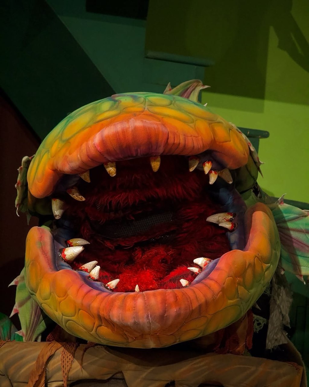 Little Shop of Horrors Musical: A&nbsp;Reflection